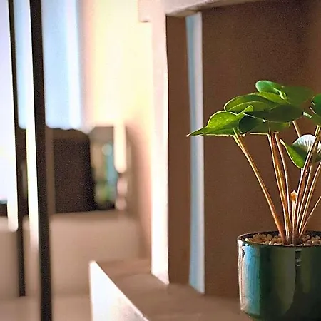 Rex Boutique Hotel 5*